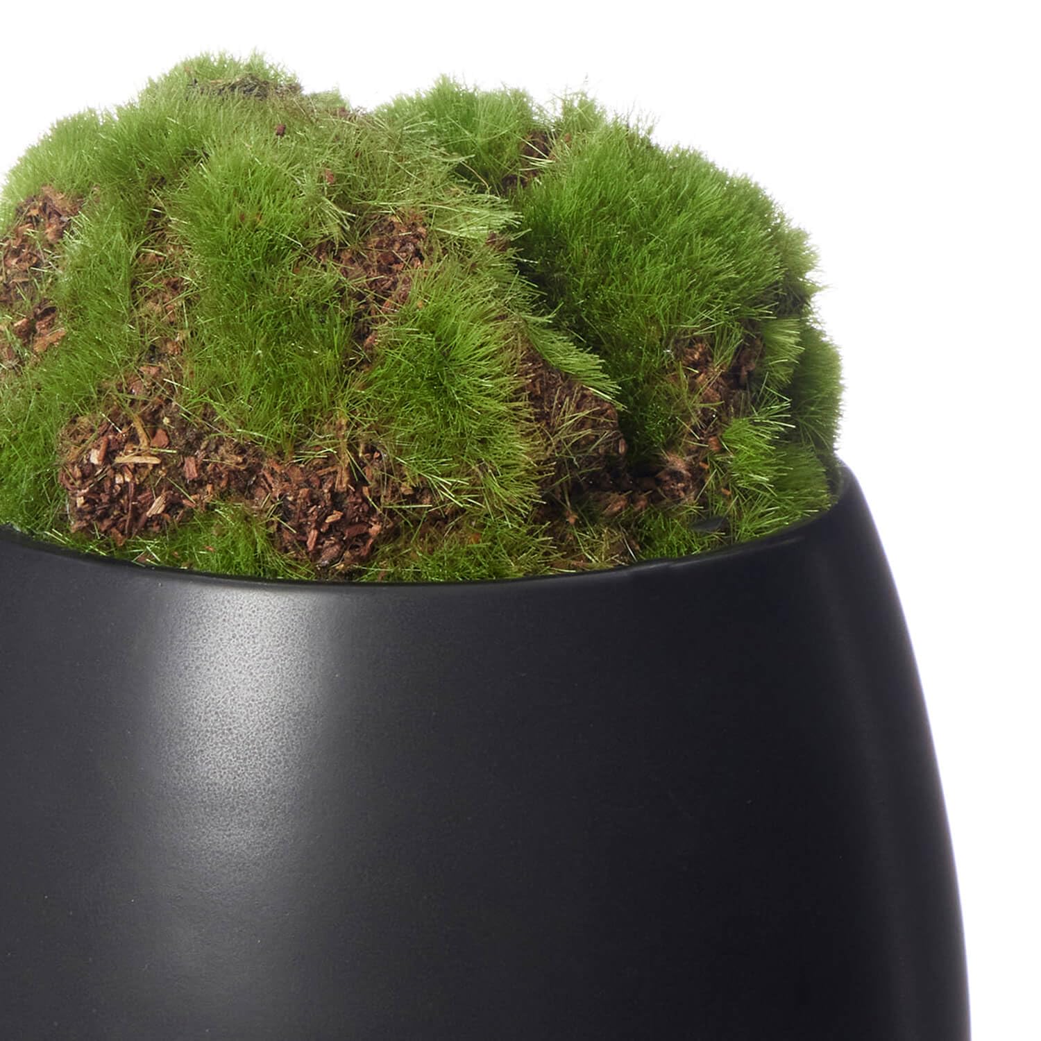 Amazon｜CUPBON 苔盆 しずく 盆栽 フェイクグリーン カップボン｜人工