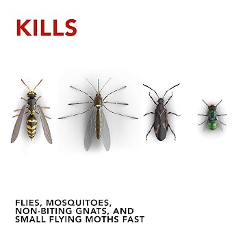 Raid Flying Insect Killer Value Pack, 30 Ounce
