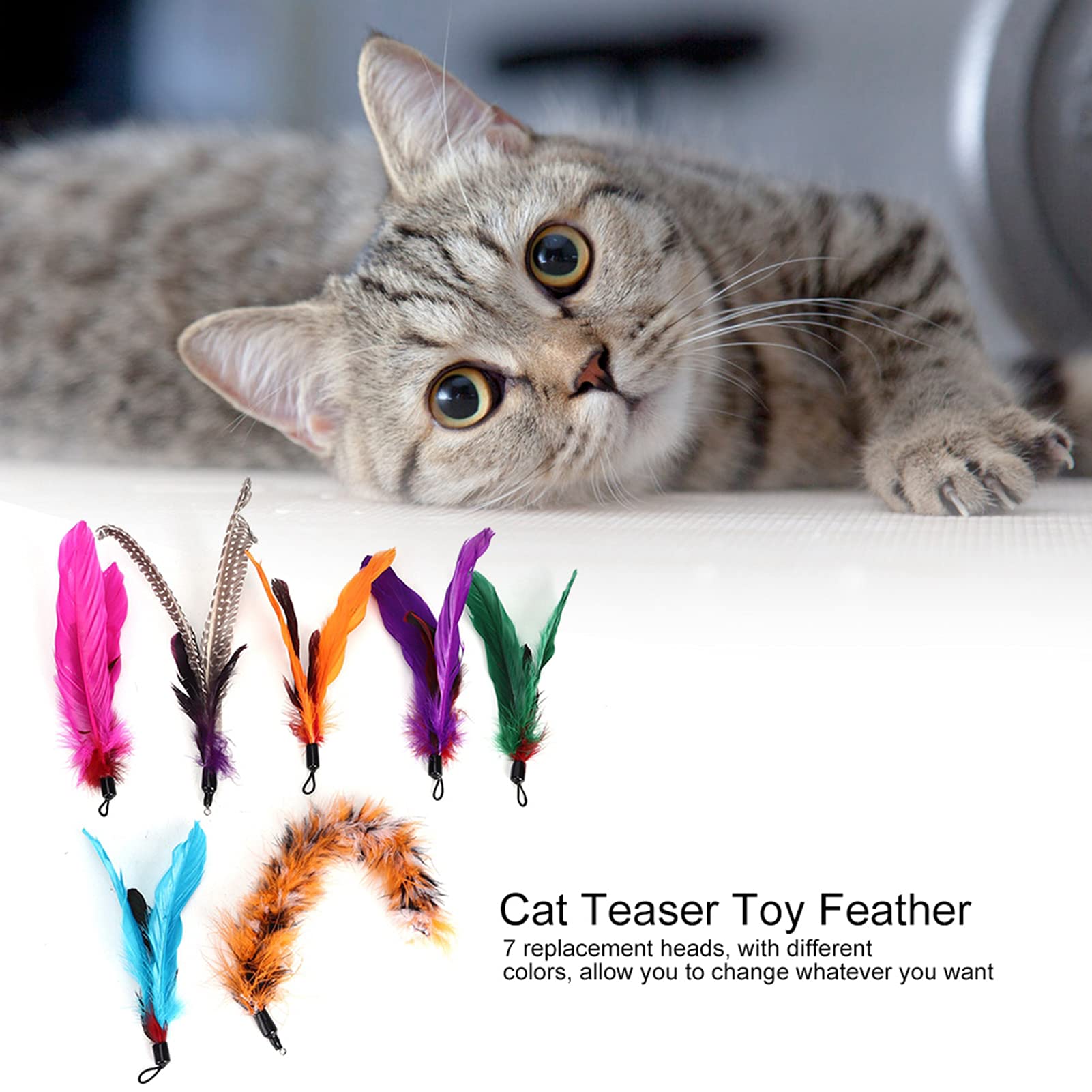 7 PCS Pet Cat Teaser Dangler Toy Rod S Fiather Cats Dostarcza Kot Toycat Feather Toycat Interactive To, Takie Jak Szybkie Puszki de