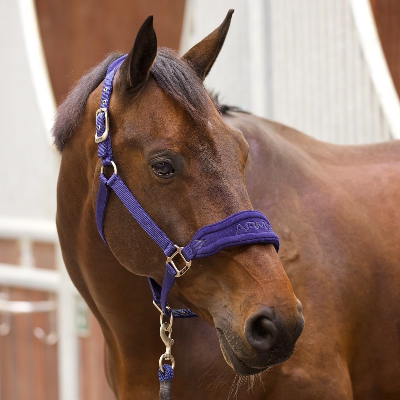 Shires ARMA Comfy Fleece Headcollar