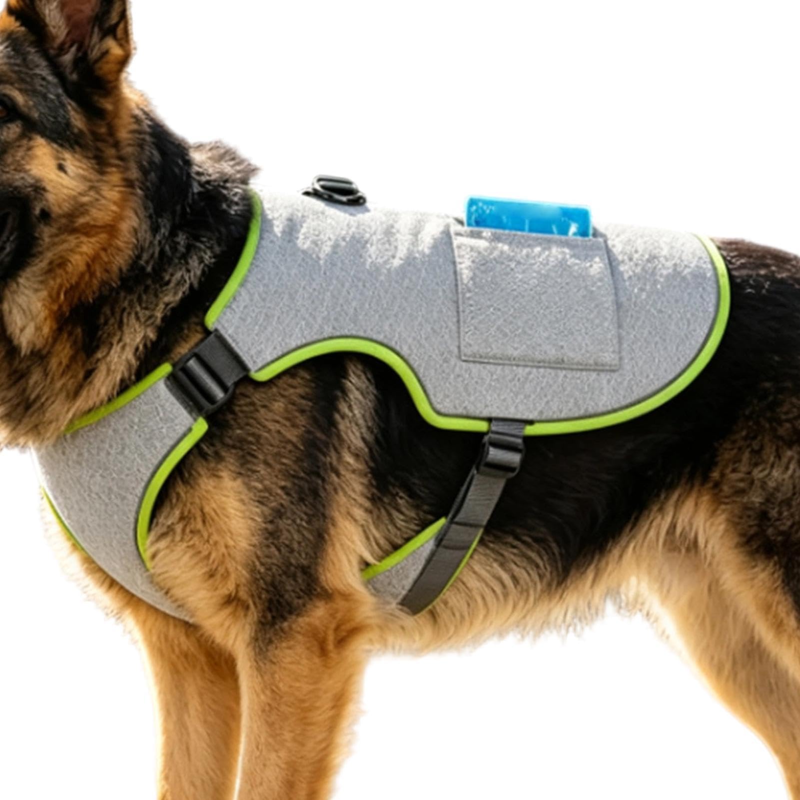Gilet Rafraîchissant pour Chien Réglable Réfléchissant Respirant