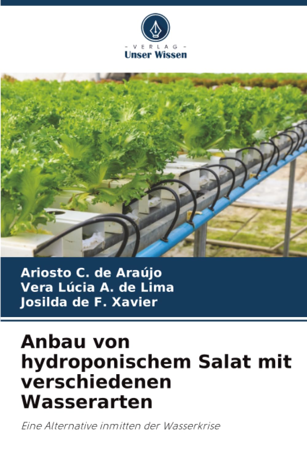 Anbau von hydroponischem Salat mit verschiedenen Wasserarten: Eine Alternative inmitten der Wasserkrise
