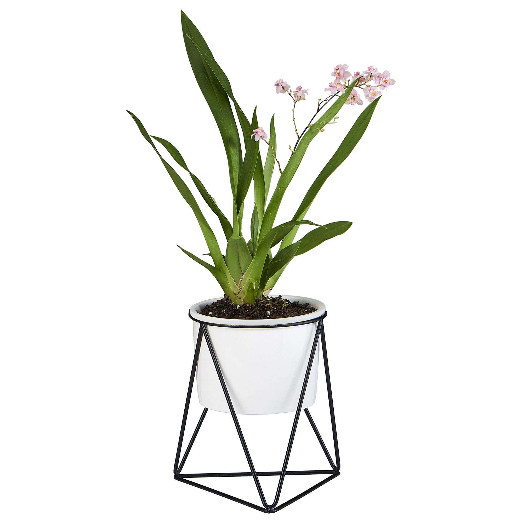 Planter Pot Indoor, Flowerplus 4.33 Inch White Ceramic Medium Succulent Cactus Flower Plant Round Bowl with Metal Stand Holder and Plants Sign for Indoors Outdoor Home Garden Kitchen Decor (Black)