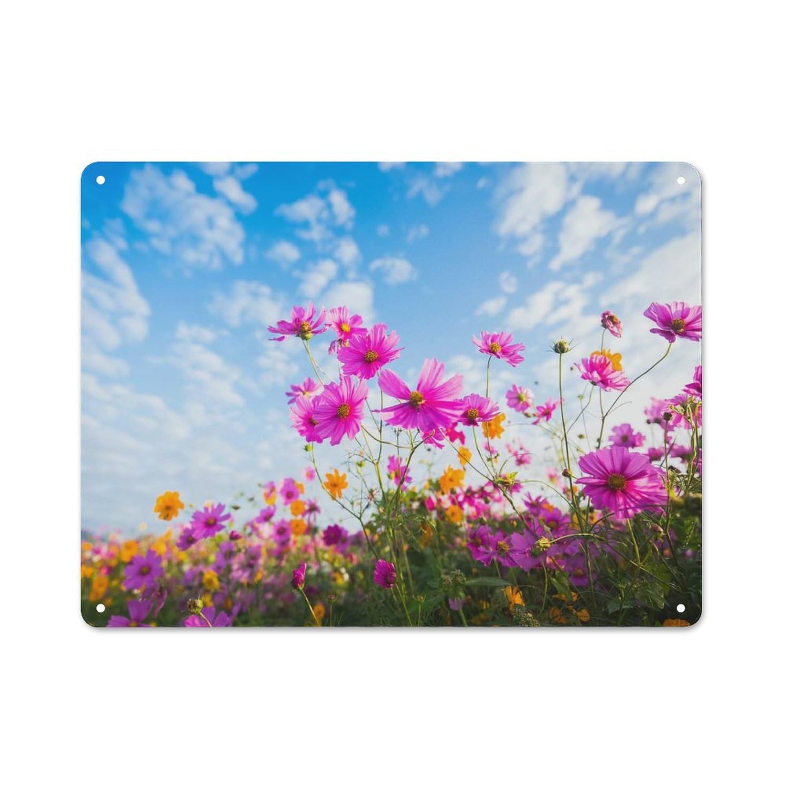 Junmoney Style-13 Pink And Yellow Cosmos Flowers Field Classic Metal Wall Decor 30X40cm, Metal Wall Plaque For Hobby Room, Office, Lounge Or Living Room