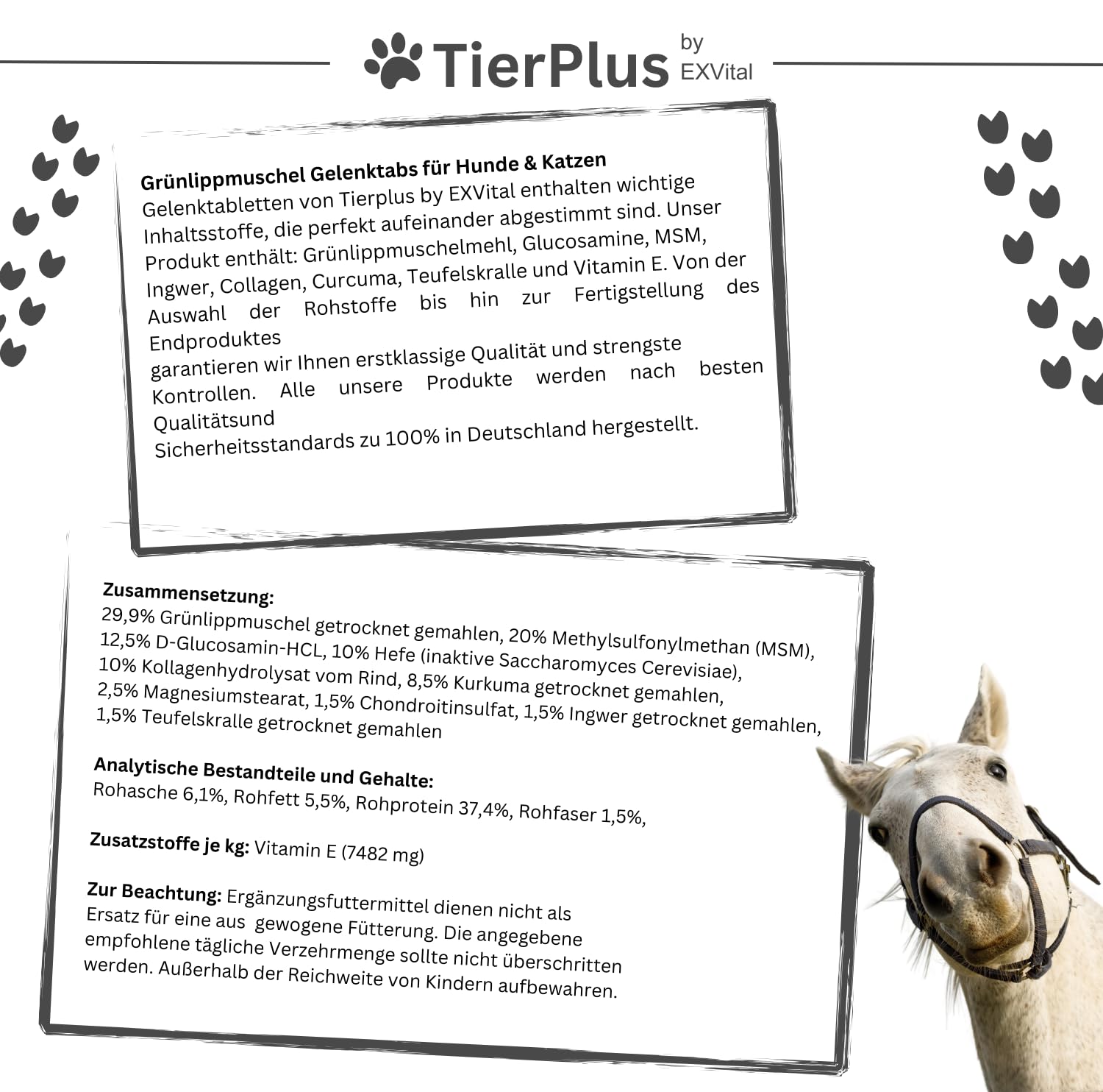 TierPlus Gelenktabletten für Hunde mit Grünlippmuschel, MSM, Ingwer, Chondroitin, Glucosamin und Teufelskralle angereichert. Hohe Fressakzeptanz, 120 Stück, Made in Germany