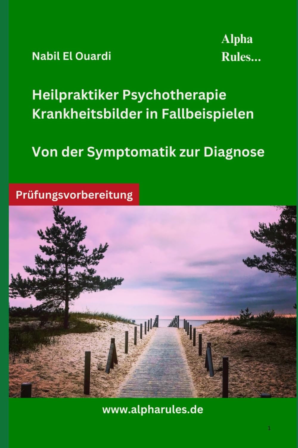 Heilpraktiker Psychotherapie Krankheitsbilder in Fallbeispielen: Von der Symptomatik zur Diagnose