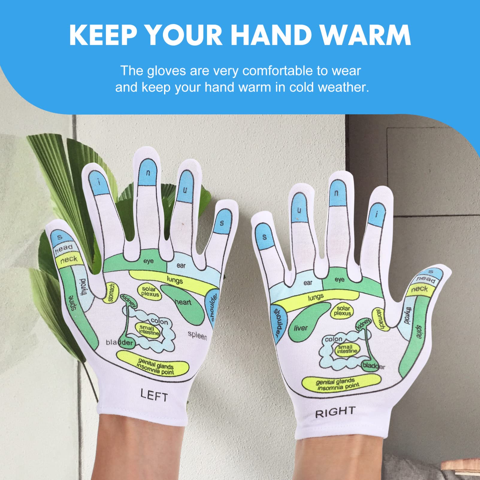 reflexzonen handschuh 1 Paar Akupressur Reflexzonen-Handschuhe, Fußmassage-Handschuhe, Tutorial Reflexzonen-Handschuhe, Massage und Hydration der Hände für Handmassage, Anfänger Acupoint Massage Tools Drogerie & Körperpflege Handschuhe Raynaud-Syndrom Beheizte Damenhandschuhe Upsells group 6881 Varianten:2000g Beutel