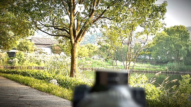 Amazon.co.jp: T-EAGLE ライフルスコープ EOX1.2-6x24IR可変倍率