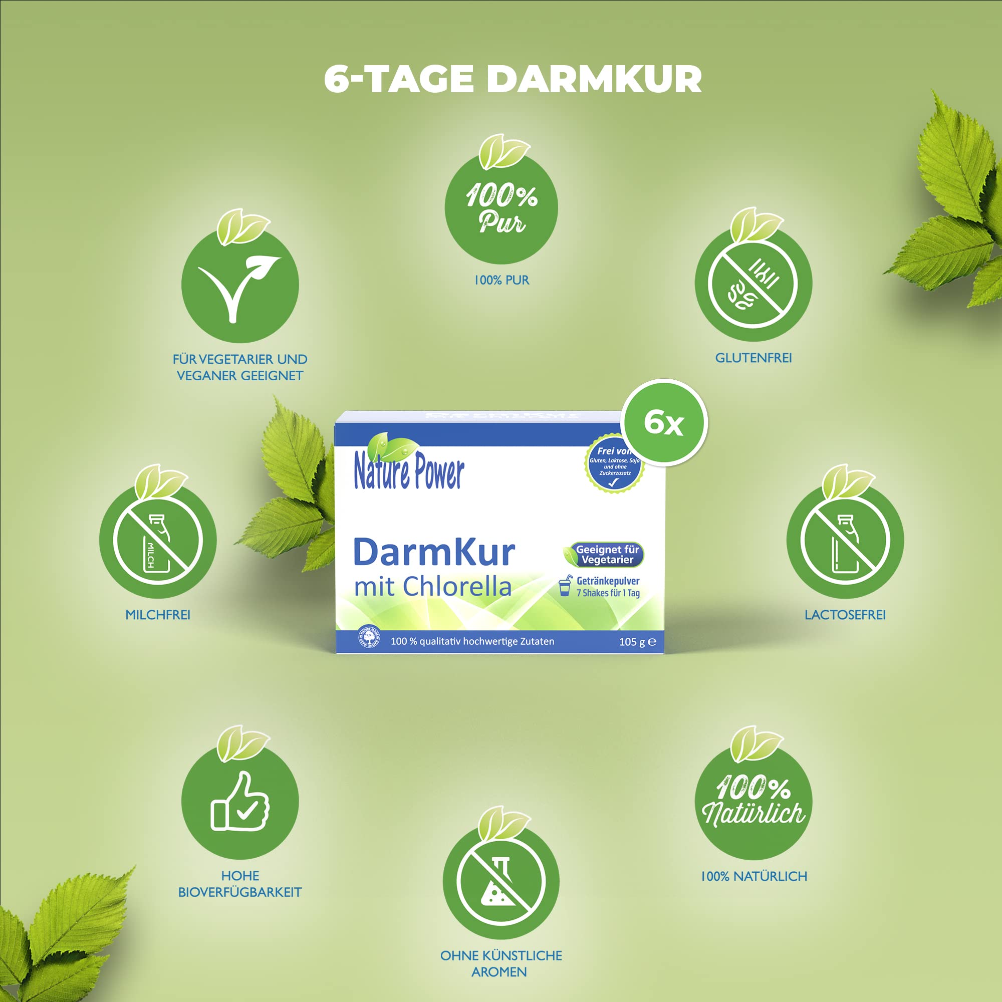 DarmKur mit Chlorella - 6-Tage-Basis-Kur - mit Shakes - 6 x 105 g Pulver - vegan und gentechnikfrei - von Nature Power