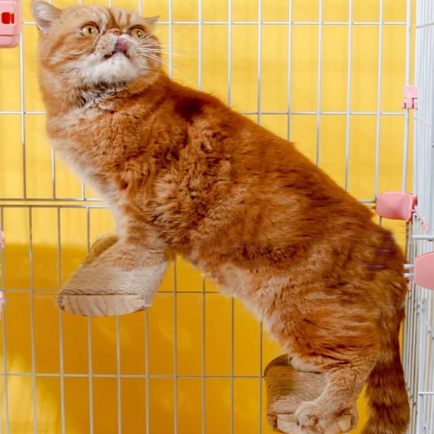 Cat Climbing Steps Scratching Tree - 2pcs Scratching Steps Sisal Hemp Cage Shelf Ladder Pets Perch Furniture Inside The cage with Install Screws (M)