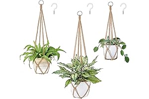 Dahey Plant Hanger Set - A Boho Touch for Your Indoor Haven