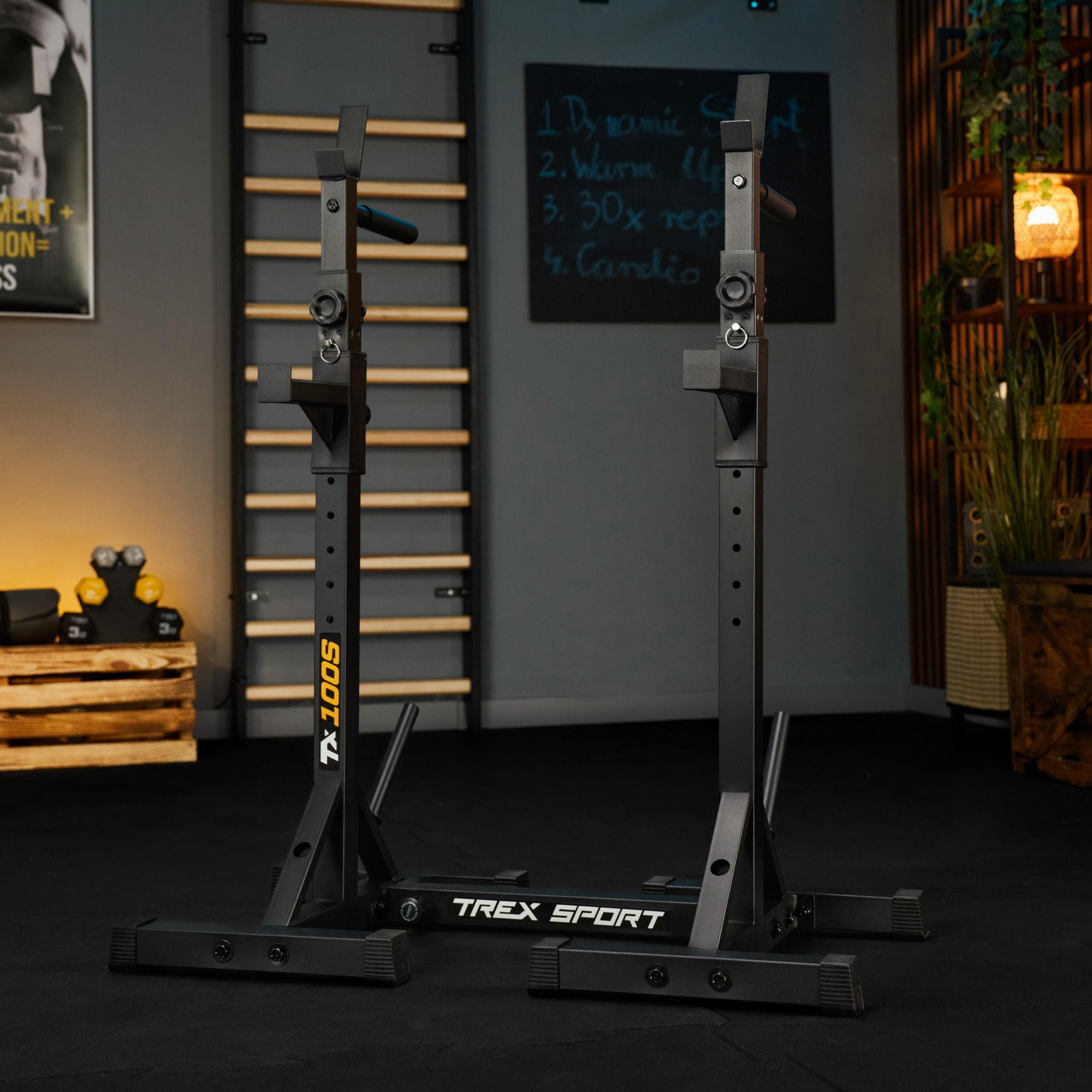 TREX SPORT Langhantelständer Squat Rack Dip-Griffen bis 250 kg TX-100S | Hantelablage höhenverstellbar mit Sicherheitsablage, Hantelscheibenaufnahmen aus Metall