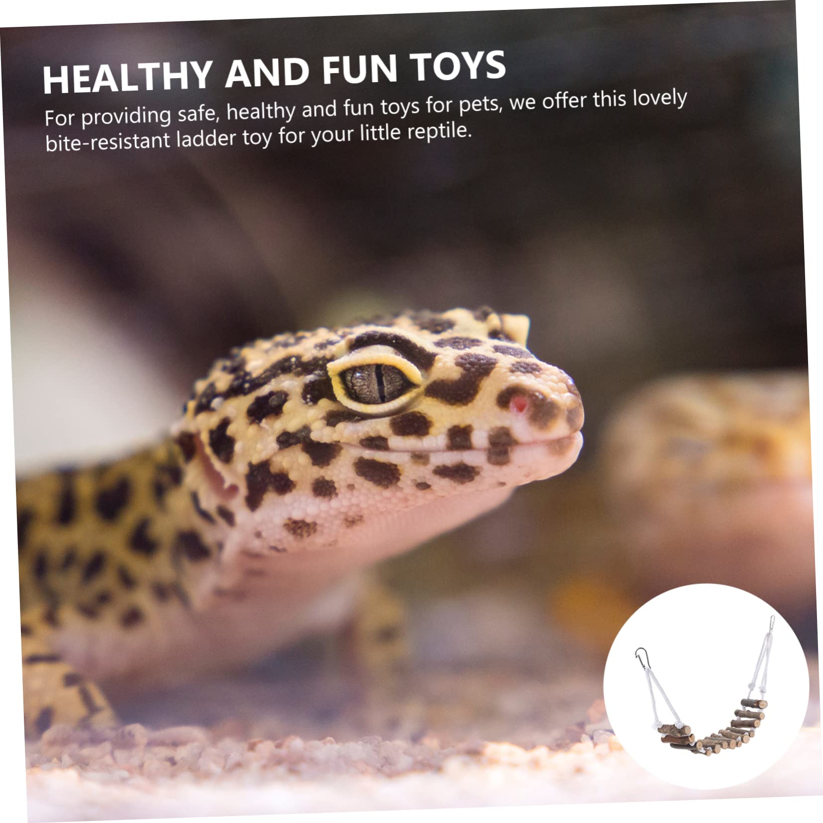 POPETPOP 2pezzi Decorativo Per Rettili Appesa Per Lucertole Accessorio Per Habitat Rettili Per Chameleonti e