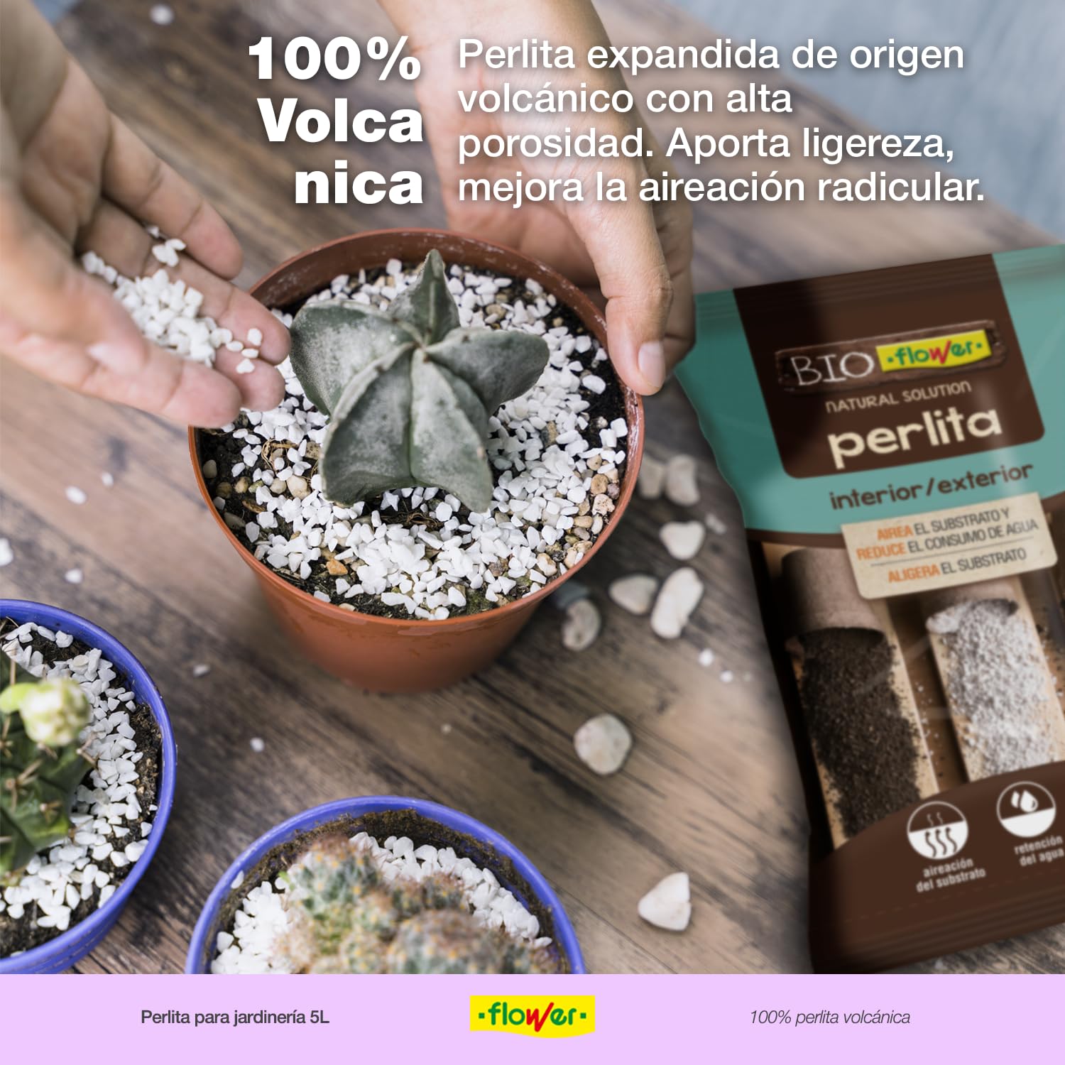 Flower Perlite, 5 l