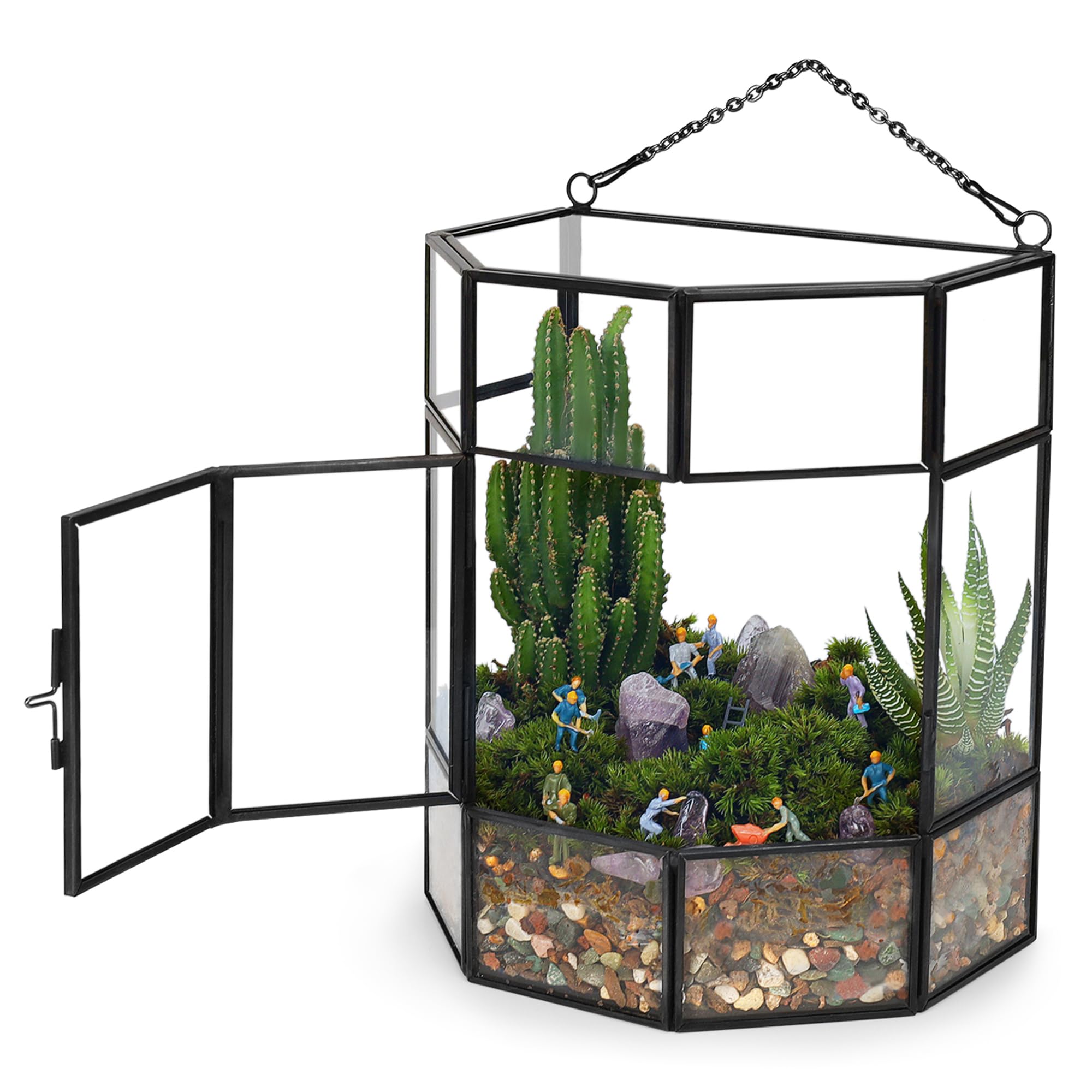 REDHUGO Hanging Glass Plant Terrarium