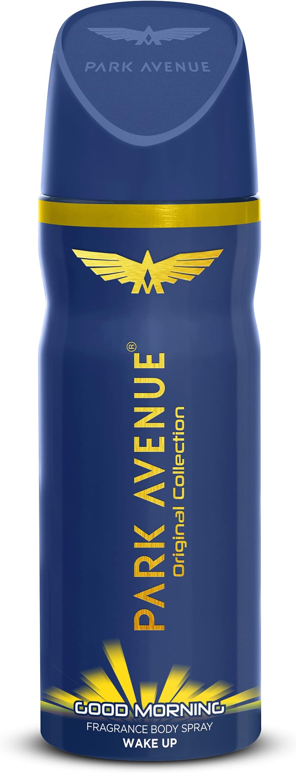 Deodorant, Fresh Scent, 100ml Aerosol