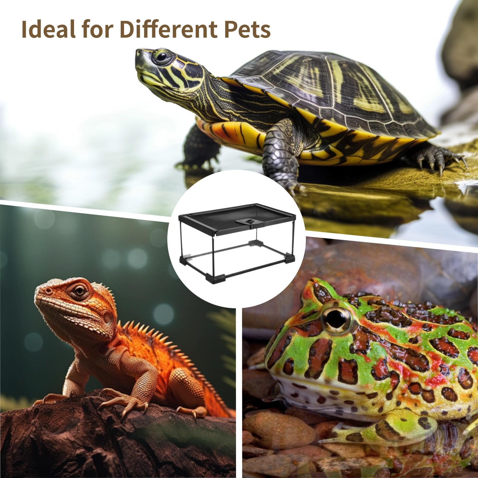 Mini-Reptilien-Glas-Terrarium, 30,5 x 20,3 x 15,2 cm, Vollsicht-Regenwald-Vivarium, stapelbarer Amphibiengehege, Käfig für Schildkröten, Geckos, Frösche, Einsiedlerkrebse, keine Installation