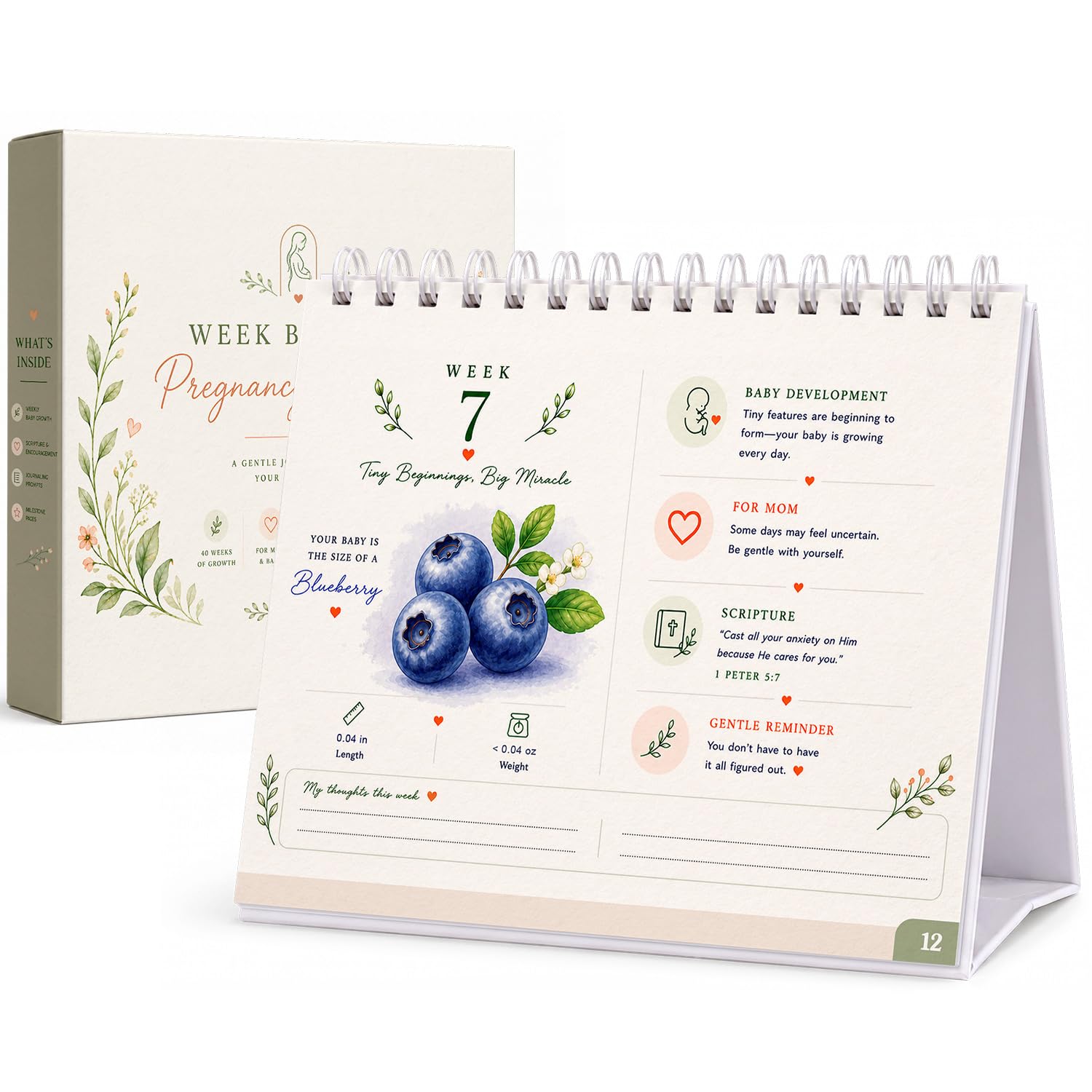 Calendario de embarazo para madres primerizas con cuenta regresiva