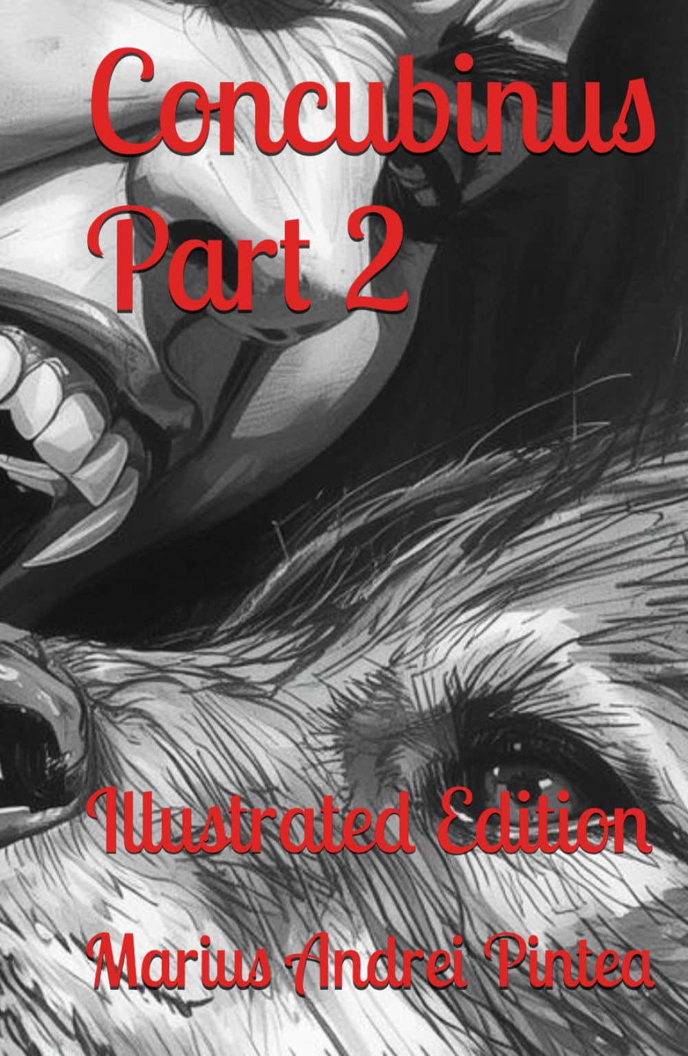 Concubinus Part 2: Illustrated Edition