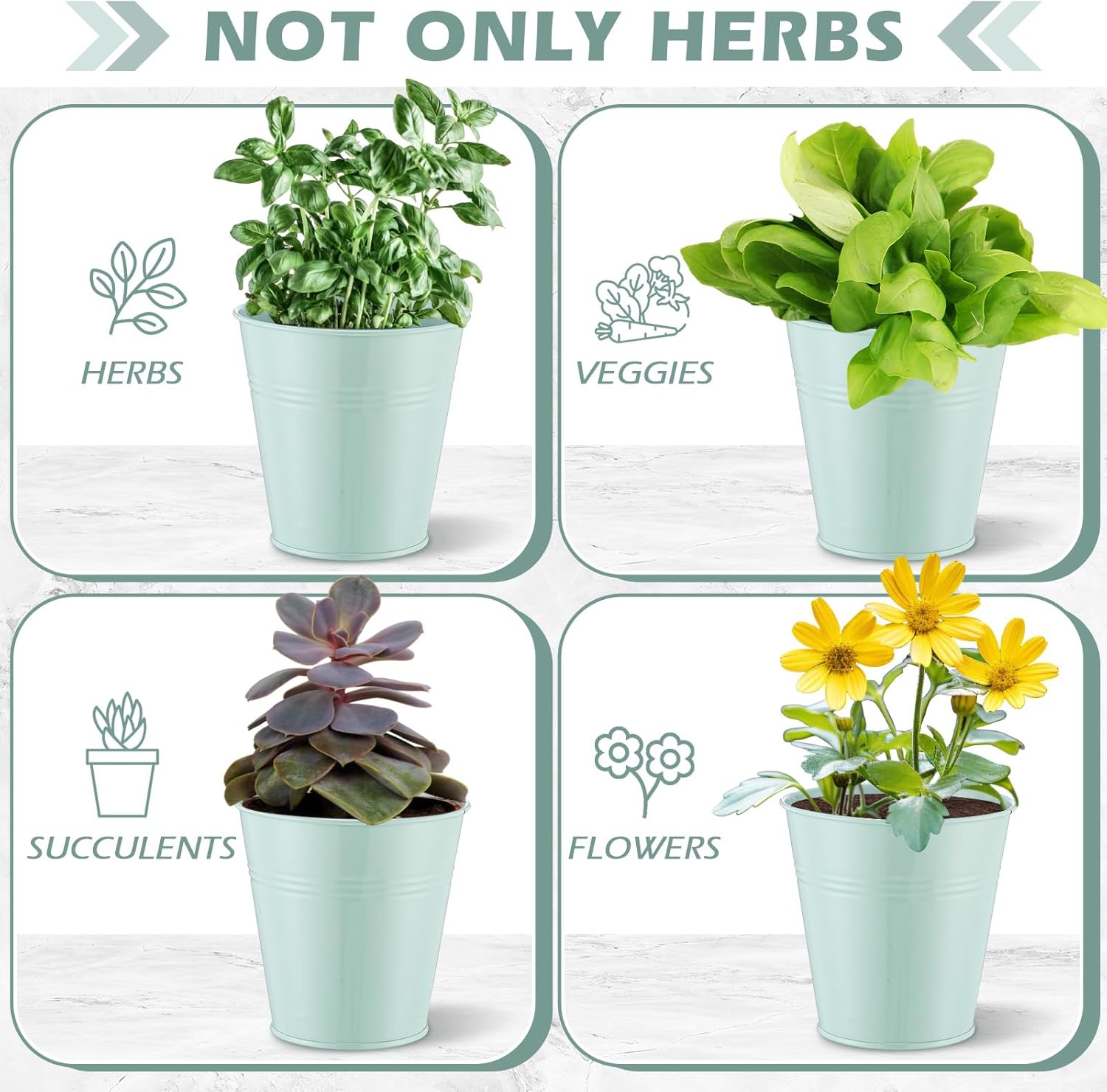 Wenqik 2 Sets Herb Garden Planter Pot Set with Tray Metal Windowsill Plant Pot with Drainage Farmhouse Decorative Live Herb Garden Kit for Home Kitchen Indoor Outdoor Apartment Balcony Window(Green)