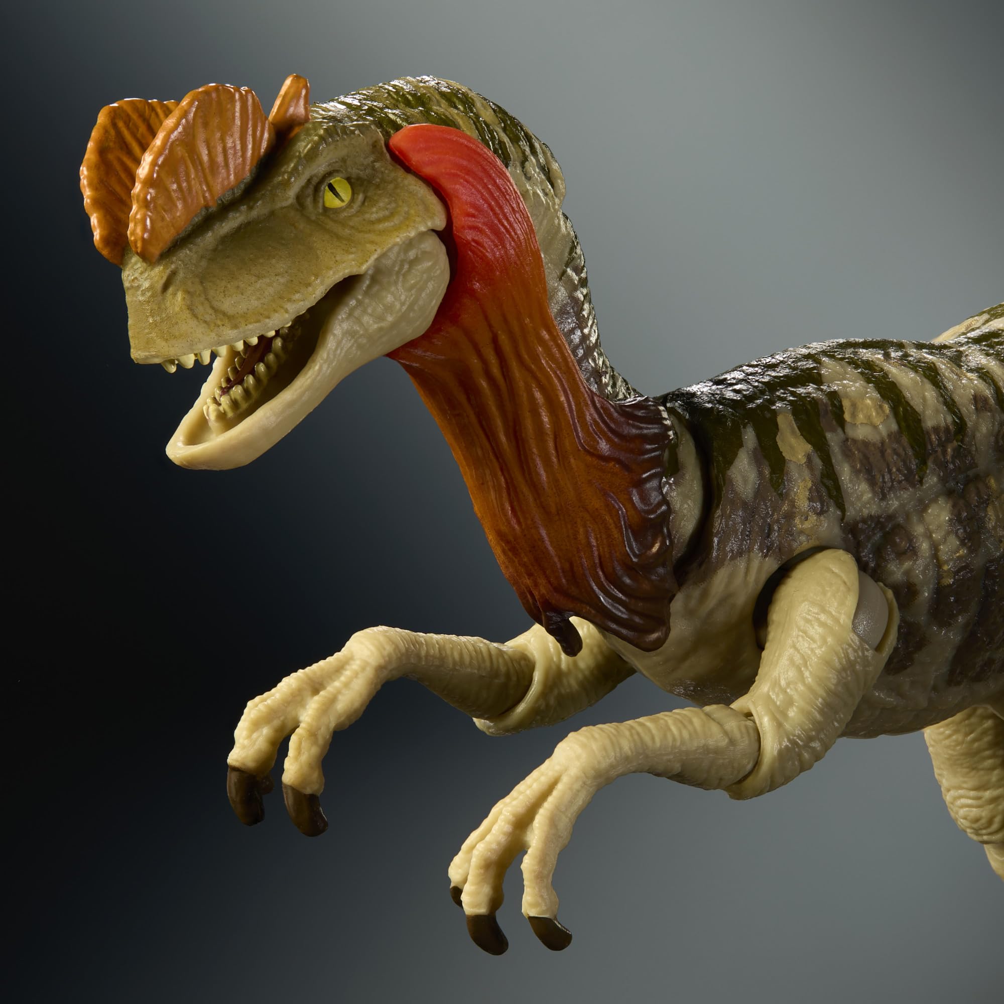 Mattel Jurassic World Colección Hammond Dilofosaurio Figura de acción de Dinosaurio. Diseño de Primera Calidad con Ojos realistas, articulaciones y Cabeza Adicional, JKM93