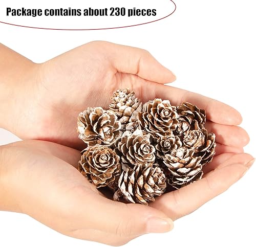 Miniatura 2 de ZYP 230 mini piñas de pino de nieve a granel, adornos de piñas rústicas de Acción de Gracias, rellenos de jarrón, piñas pequeñas para manualidades,