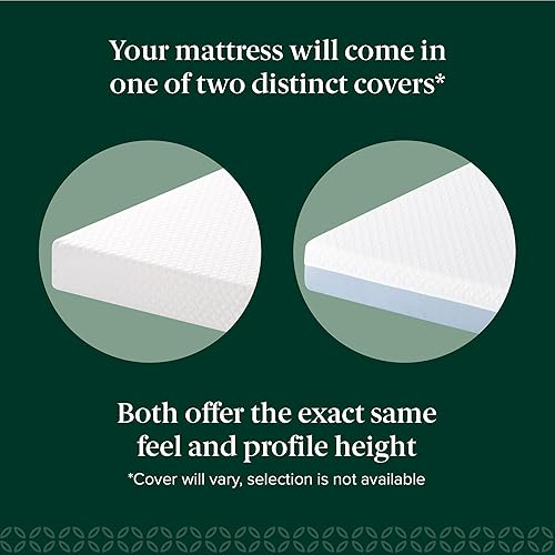 Miniatura 28 de ZINUS Colchón de espuma viscoelástica esencial de enfriamiento individual de 12 pulgadas [NewVersion], sin fibra de vidrio, sensación media, capas