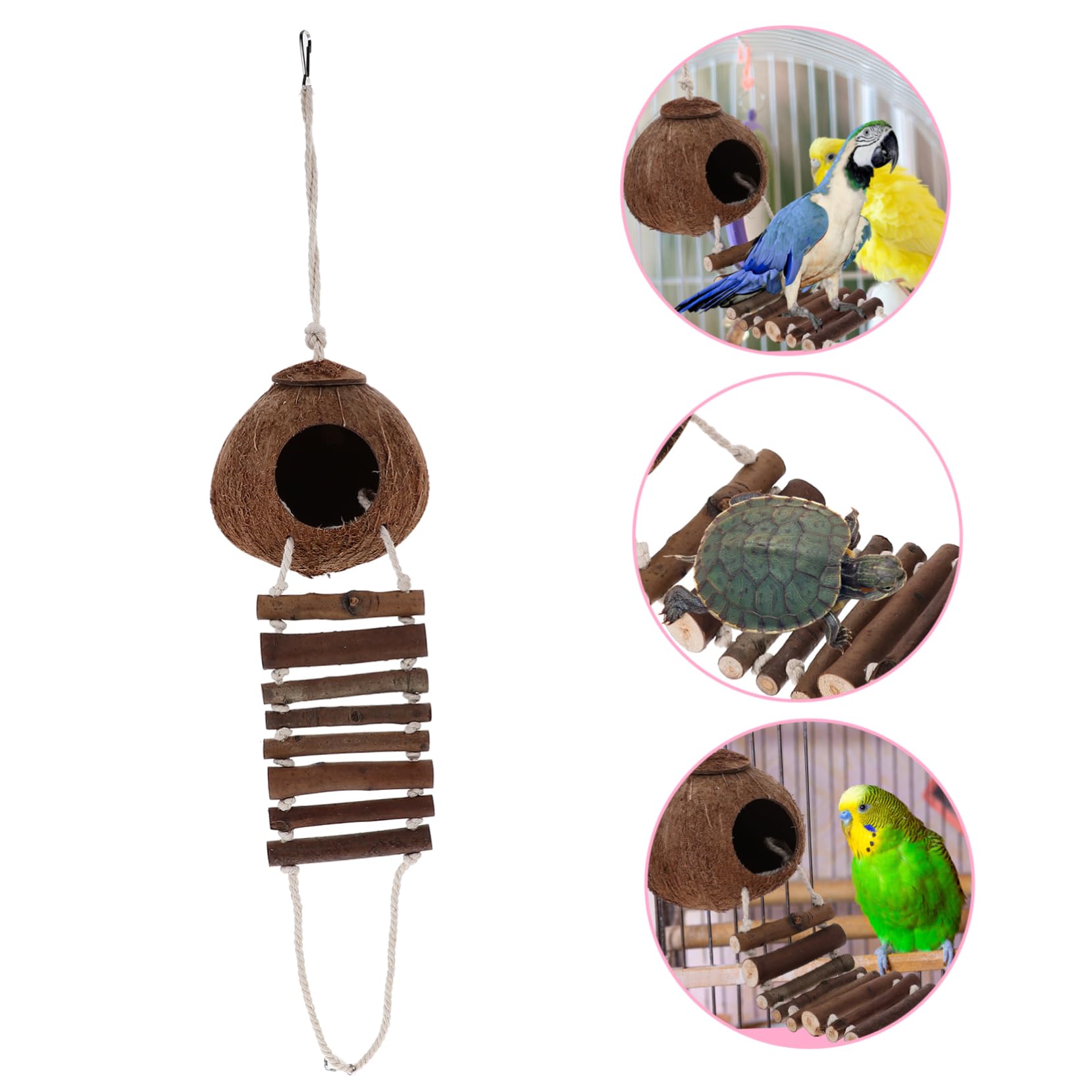 BESPORTBLE Casa para Cangrejo Ermitaño de Cáscara Natural con Escalera Hábitat para Cangrejo Ermitaño Decoración de Terrario para Reptiles Cueva Delicada para Terrario