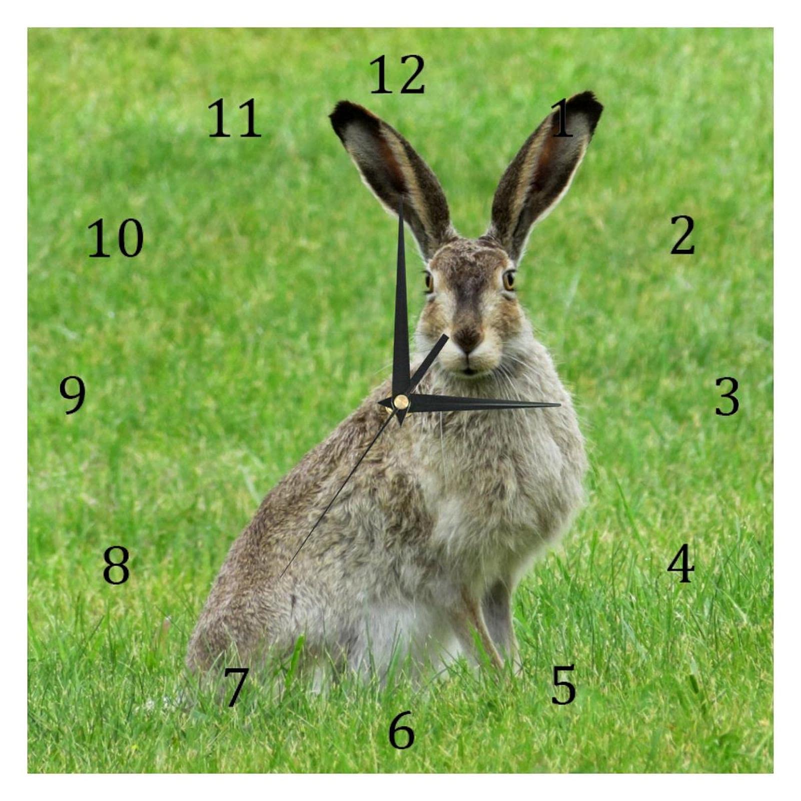 Wild Rabbit Bunny Liebre Nature Grassland Silent Quartz Wall Clocks Non-tictac Reloj con Pilas Decoración del hogar para el Dormitorio Sala de Estar Cocina Oficina