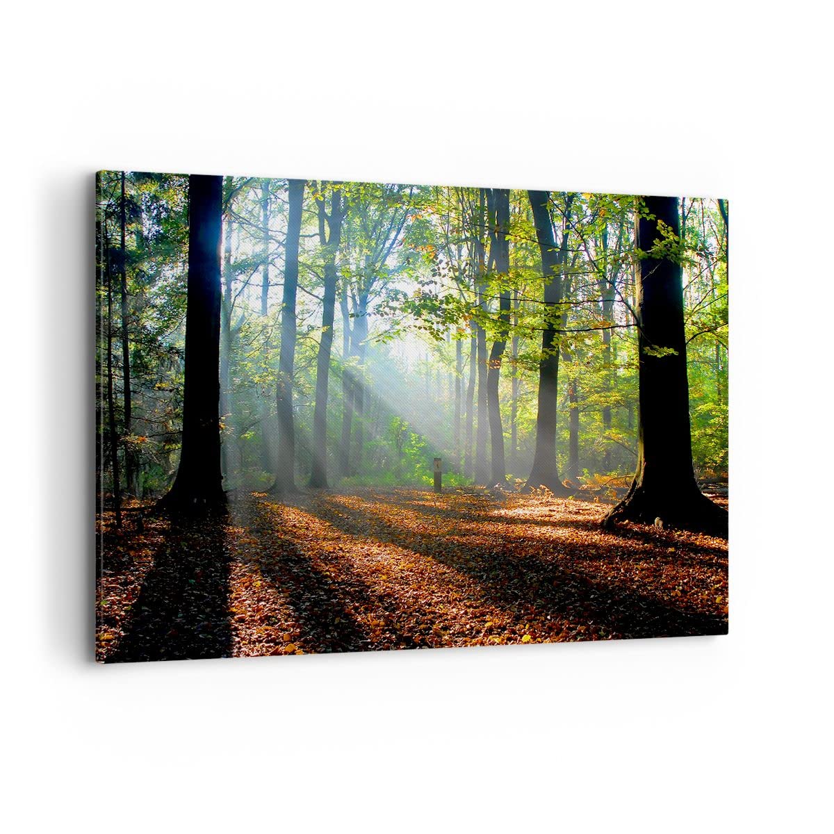 ARTTOR Dekoracja ścienna Salon Las Liście Słońce Obraz na płótnie w ramie 120x80cm Nowoczesny Sypialnia Kuchnia Deko Sztuka na ścianę Duży XXL Obrazy Art Foto Wall Decor Canvas AA120x80-0136