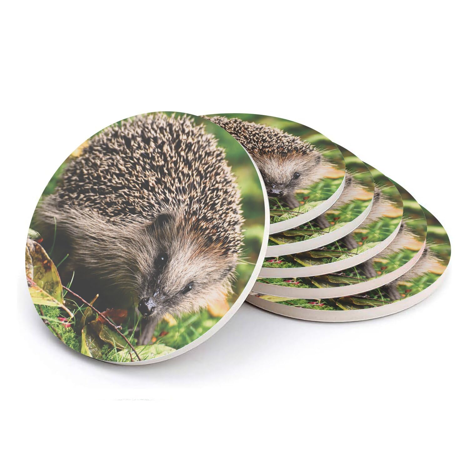 Sous-verres ronds en céramique hérisson mignon lot de 6 dessous de verre nature 108mm