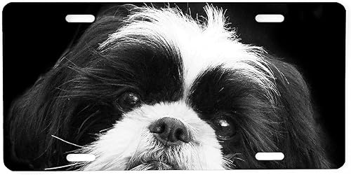 CafePress Placa de matrícula de aluminio Shih Tzu Dog para perro, placa de matrícula frontal, etiqueta de tocador