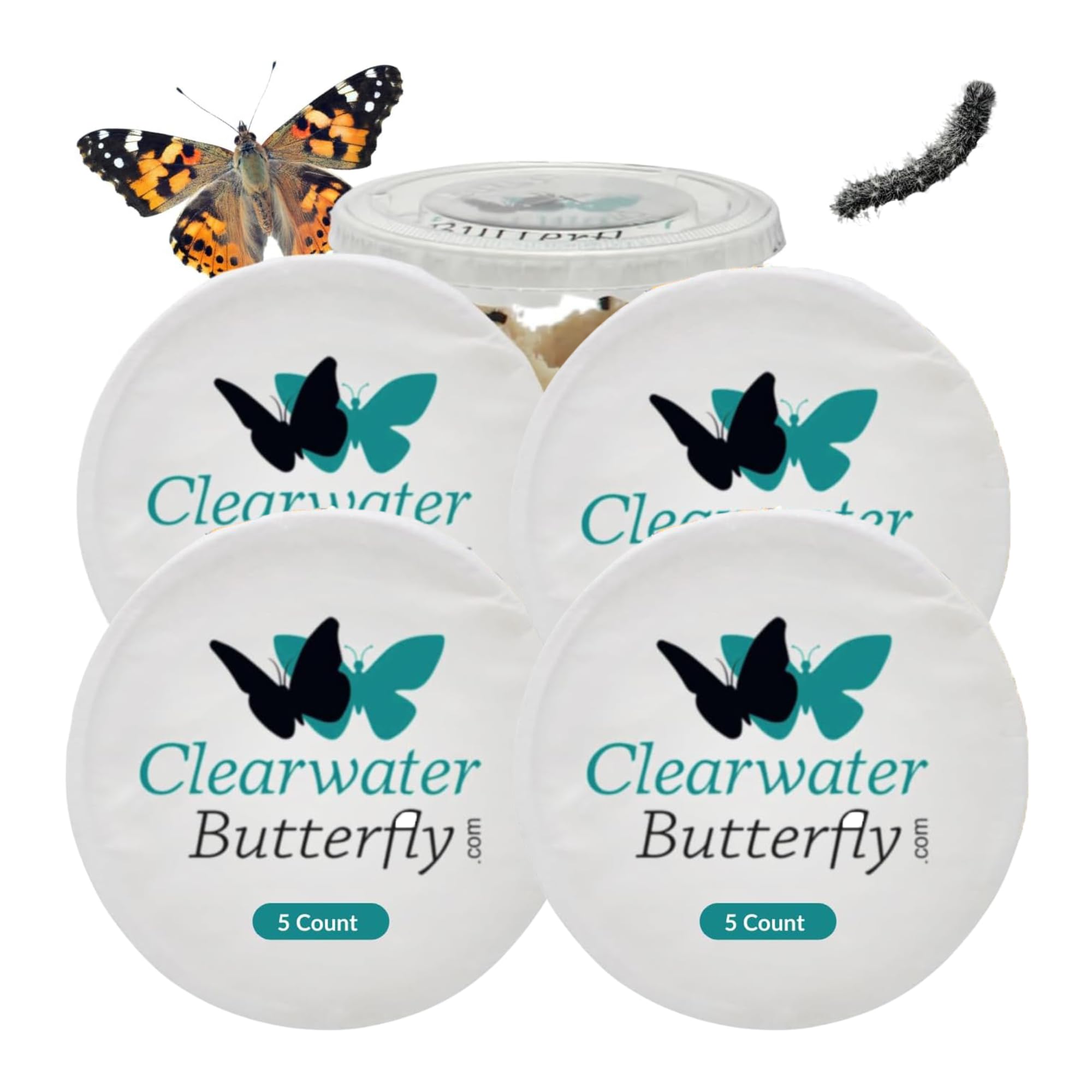 Clearwater Butterfly Company Live Cup of Painted Lady Caterpillars to Grow Butterflies Kit - Ready to Ship Now (20 Caterpillars) - butterflies | Mubboo