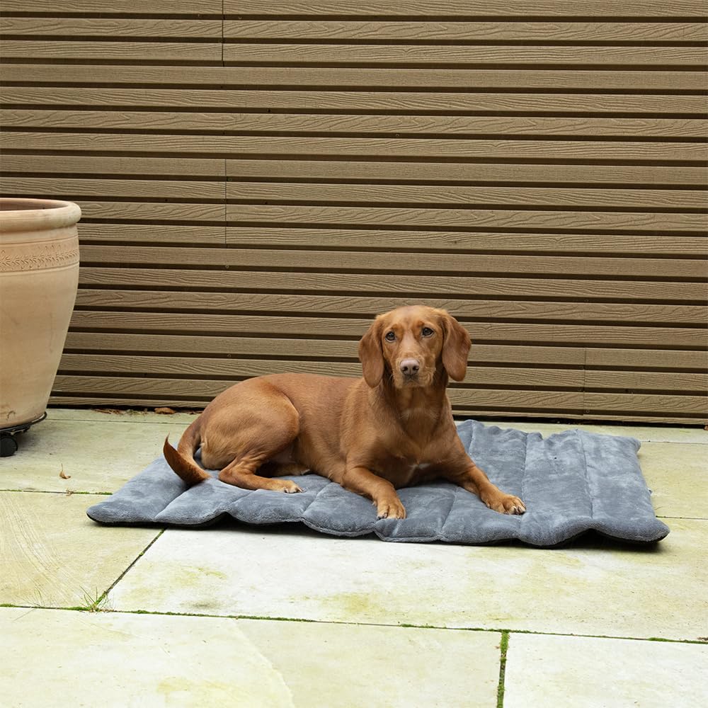 Scruffs Expedition Roll Up Travel Pet Bed