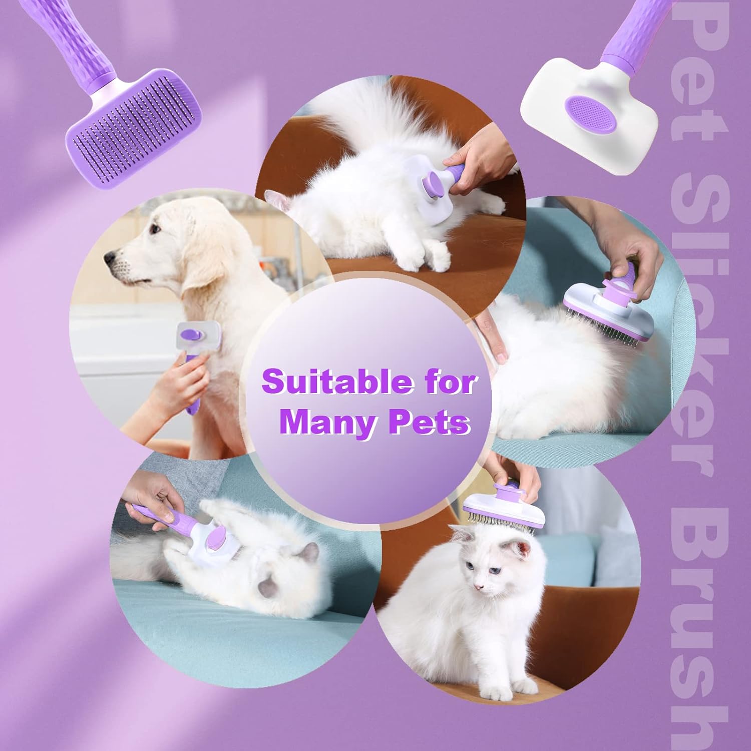 Garstor Dog Brush Comb, Cat Brush, Dog Brush for Shedding, Cat Brushes for Indoor Cats, Self Cleaning Pet Brush for Grooming Long Short Haired Dog Cats, Rabbit Remove Loose Fur and Undercoat 3 71OIVyLSRqL. AC SL1500