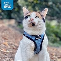 Vista 9 de Best Pet Supplies - Arnés de malla para todo tipo de clima, reflectante, antitirones, para perros y gatos pequeños y medianos, con velcro, hebilla