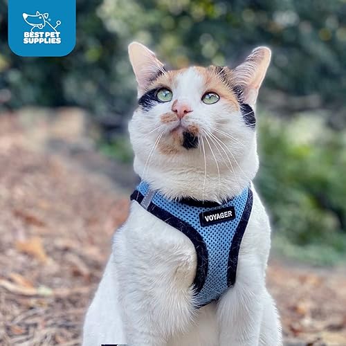 Miniatura 9 de Best Pet Supplies - Arnés de malla para todo tipo de clima, reflectante, antitirones, para perros y gatos pequeños y medianos, con velcro, hebilla,