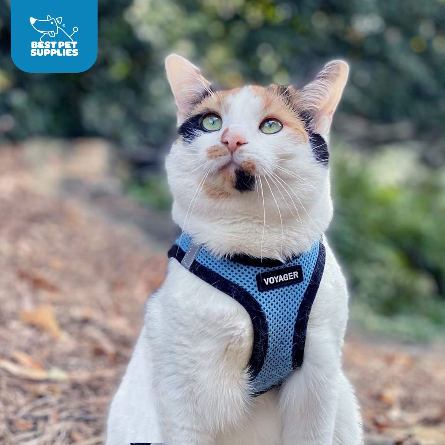 Voyager Step-In Air uprząż dla psa Best Pet Supplies - All Weather Mesh Step in Vest Harness dla małych i średnich psów, niebieska/czarna krawędź, rozmiar S - klatka piersiowa 37-40 cm