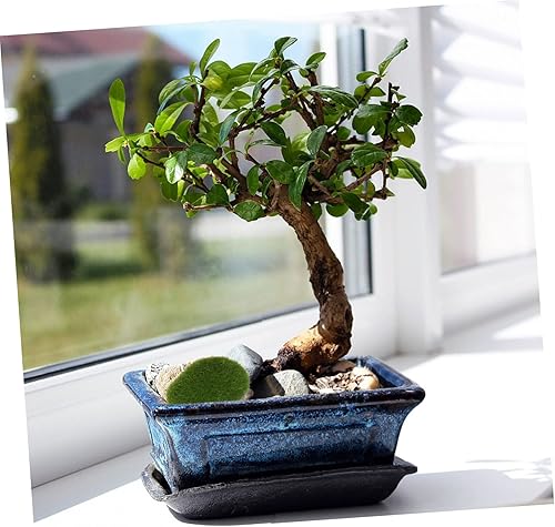 Miniatura 5 de PAREKS 40 Pcs Artificial Moss Stone Artifical Moss Rustic vase Rustic Home Decor DIY Art Crafts Aquarium Bonsai Stone DIY Crafts Household Decorate