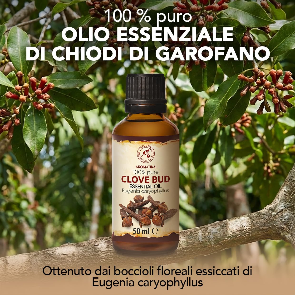 Olio Essenziale di Chiodi di Garofano 50 ml - Eugenia Caryophyllus - Naturale e Puro - Olio essenziali per Diffusori - Aroma per la Casa - Saponi e Candele - Profumo di lunga durata - Aromaterapia