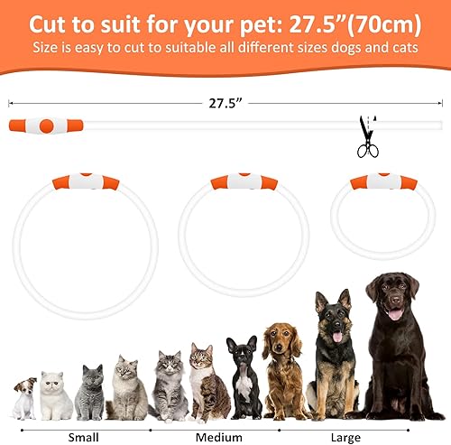 Miniatura 4 de Bpawser Collar de perro con luz LED, 1 unidad recargable por USB, TPU brillante, collares básicos de seguridad para perros grandes, medianos y