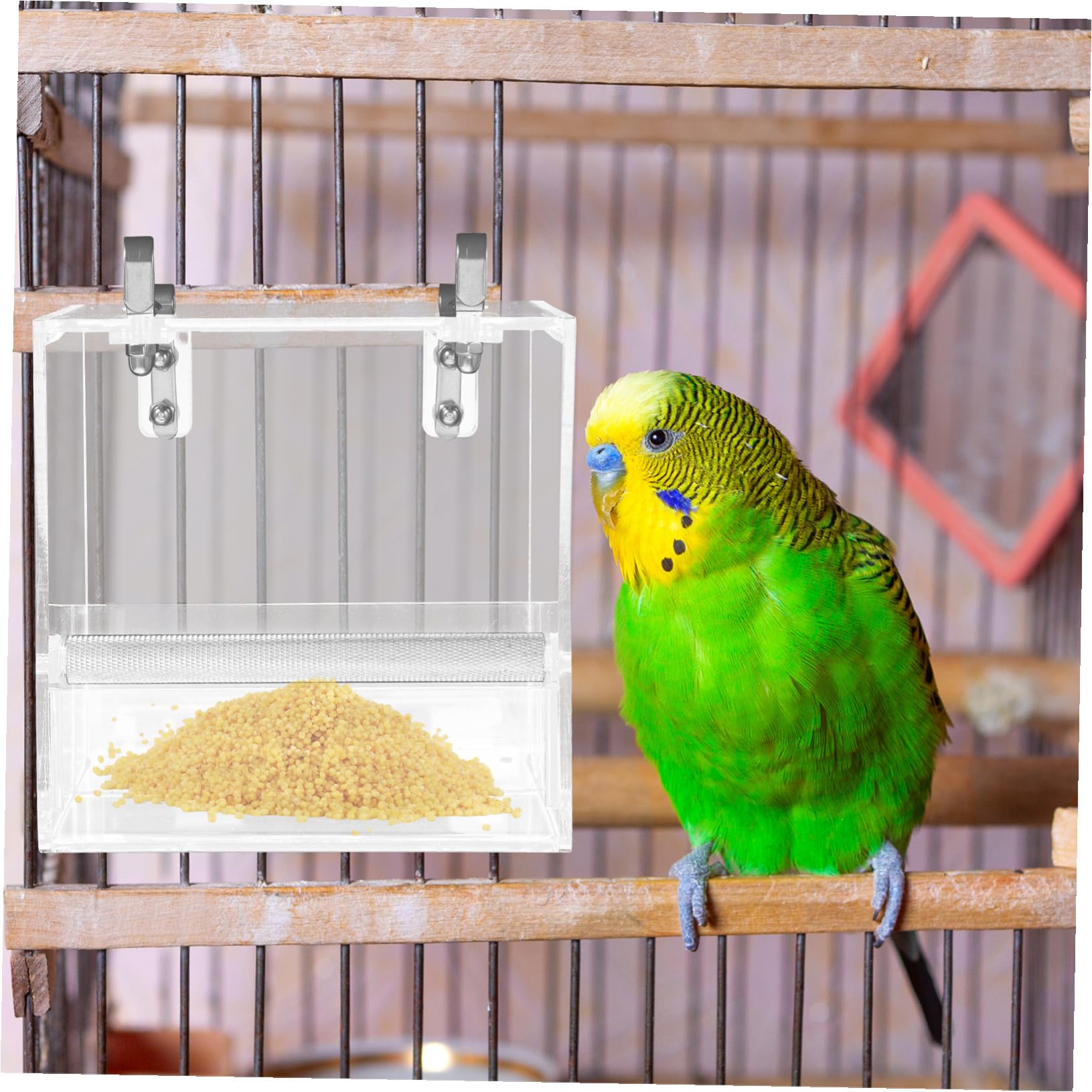 Mangeoire Automatique pour Oiseaux et Abreuvoir Creative Birds Convient aux Perroquets et Petits Oiseaux Facile à Installer et Nettoyer