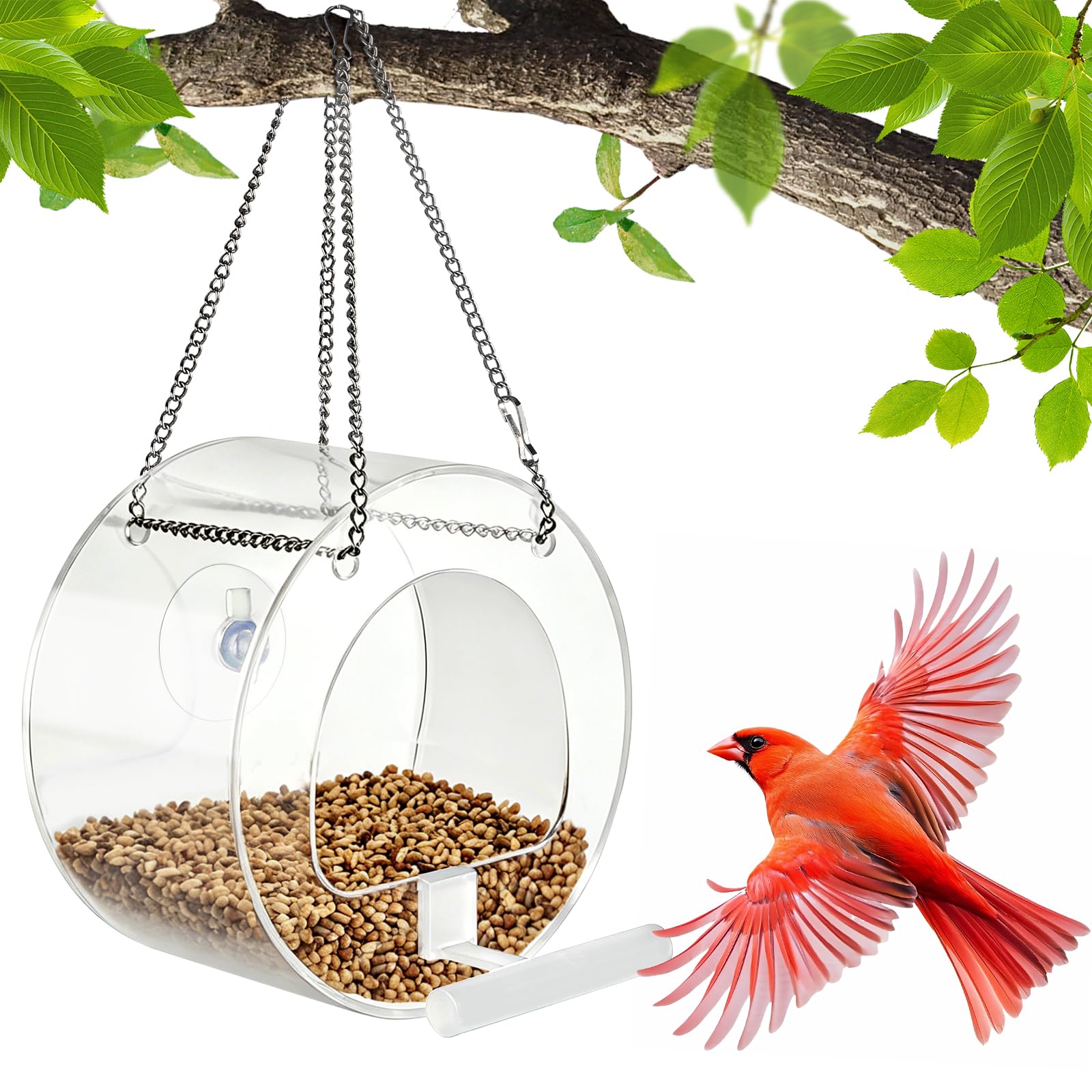 Hanging Bird Feeders, Clear Window Bird Feeders for Small Birds Only, Round Acrylic Wild Bird Feeder with Suction Cups for Outdoor Bird Watching 12.5 x 7.5cm