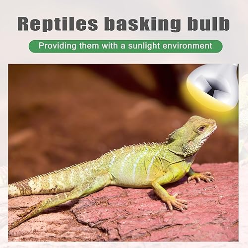 Miniatura 4 de Paquete de 2 lámparas de calor de 120 V 250 vatios R40, bombillas incandescentes de vidrio transparente, bombillas de calefacción incandescentes