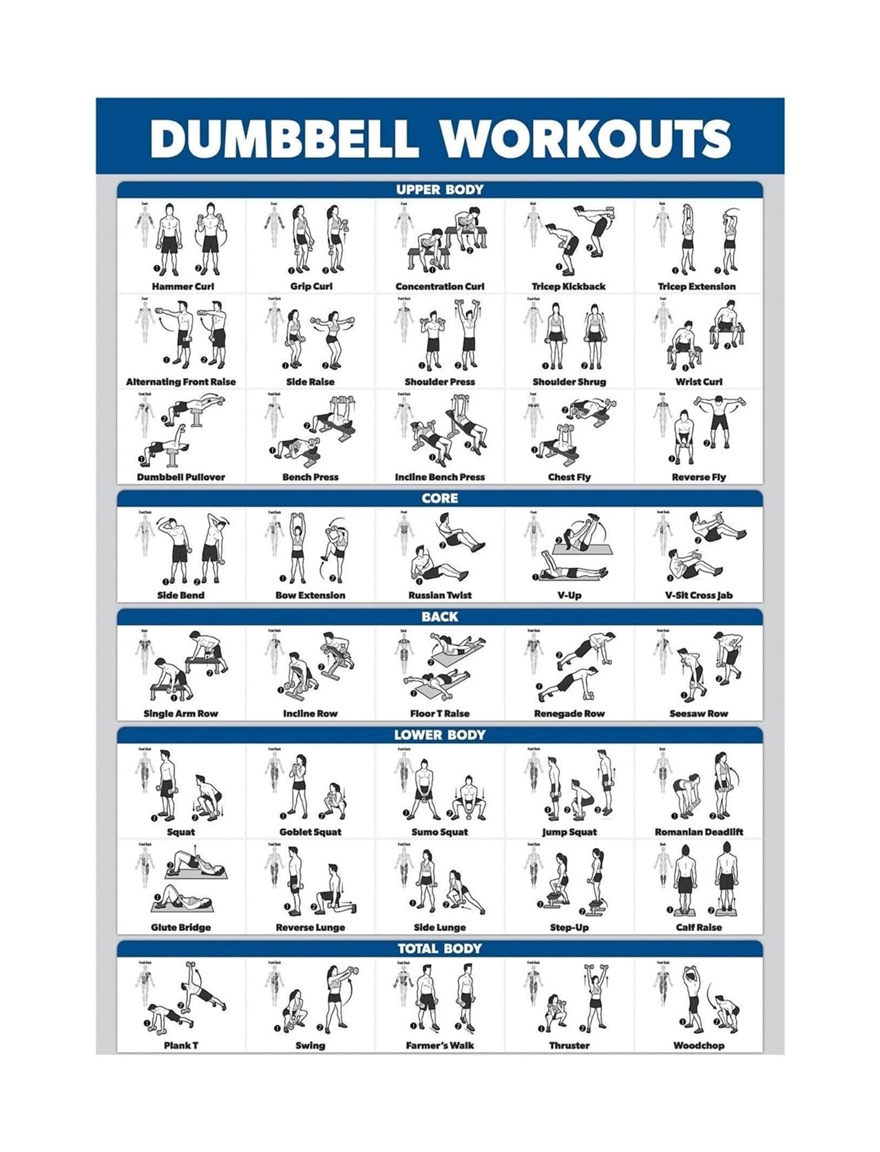 Póster de ejercicios con mancuernas enmarcado de 30x45 cm para entrenamiento en casa