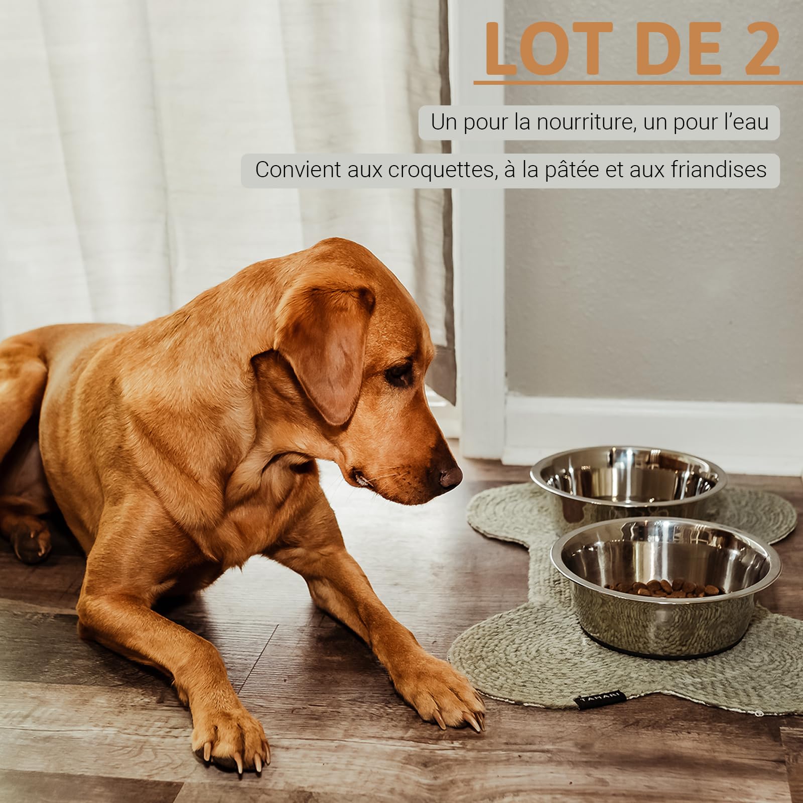 PEGGY11 Gamelles en Acier Inoxydable pour Chien, Antidérapant, Fond en Caoutchouc, Qualité Alimentaire, sans BPA, Peut Passer au Lave-Vaisselle, Facile à Nettoyer, 1920 ML, Paquet de 2