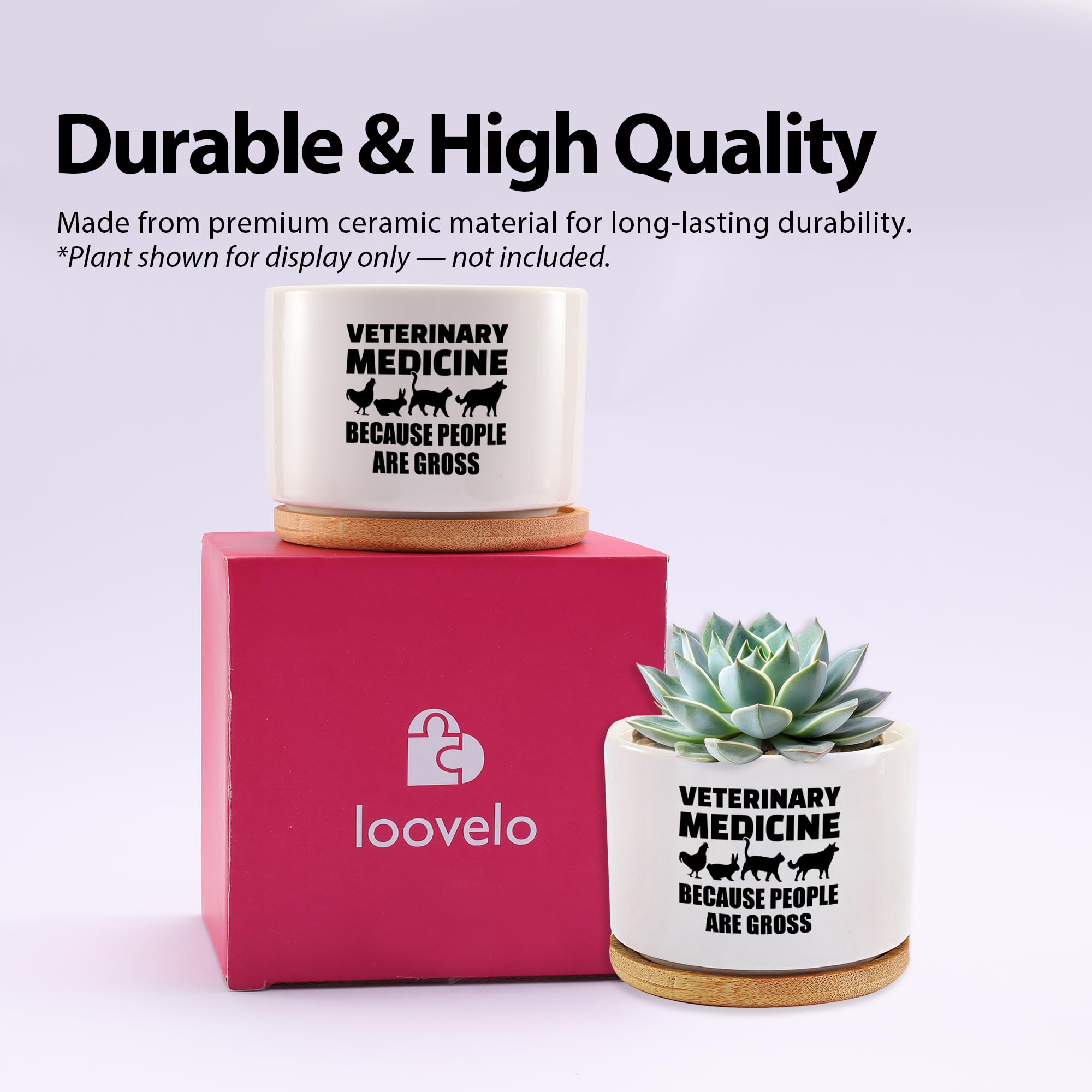 Veterinary Medicine Because People Are Gross Veterinarian Gifts Ceramic Succulent Plant Pot with Bamboo Tray Round Gift To Vet Animal Doctor Pet Lover Home Decor Plant Lover 3.5 Inch White (No Plants)