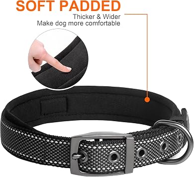 Fida Padded Dog Collar for Small Dogs with Metal Belt Buckle, Black