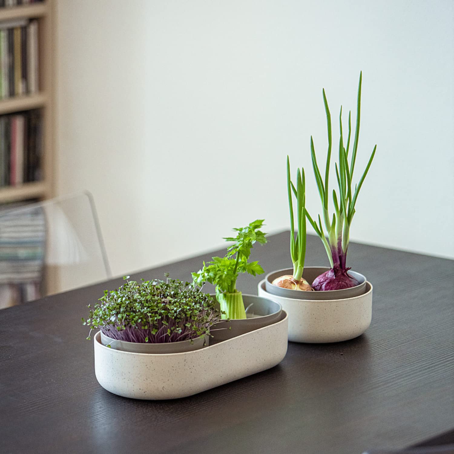 Urbalive 2-in-1 große Keimschale Set - 2X Kresse Anzuchtschale für Sprossen, Kressesamen, Microgreens - Design Kressesieb aus hochwertigem Kunststoff - Keimsprossenbox Keimgerät mit Regrow Option