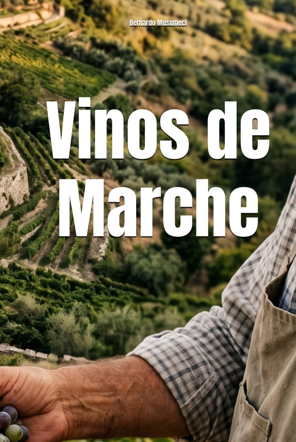 Vinos de Marche (Wines of the World: Italy)